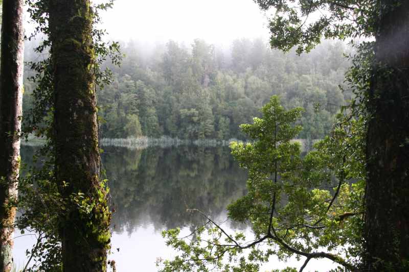 Nieuw-Zeeland 2011 - 1476